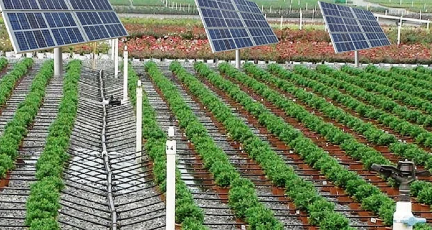 How to keep Africas boom in solar powered irrigation from going bust